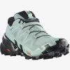 Salomon Women's Speedcross 6 GTX Shoe