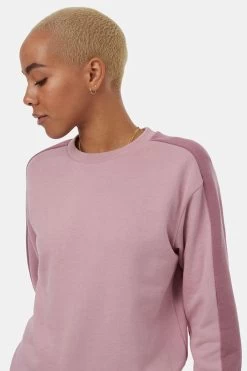Tentree Women's Blocked Sleeve Stripe Crew -Fashionable Clothing Store tentree blocked crew dawn pink11